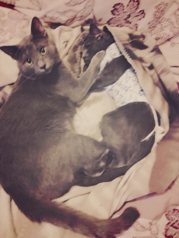 ������������� �����.��� ����������������� ����� ��� �� ������� �� ��� �� �� ���