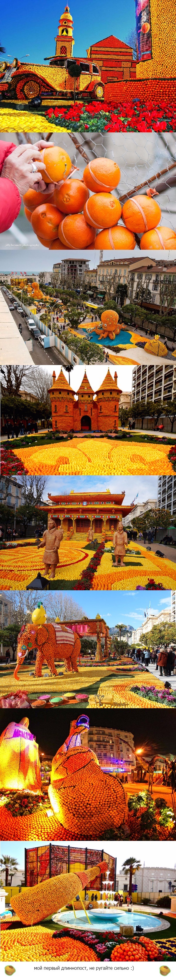    - Fete du Citron , Fete du Citron,  , , 