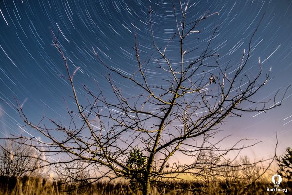  . 3 .  .   : 2600 . 26.12.2015