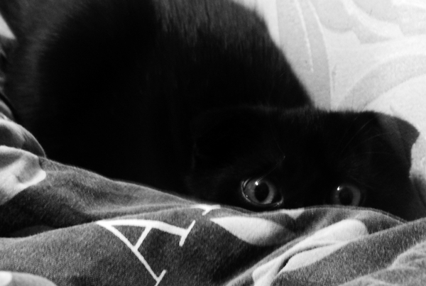 Охотник | Пикабу