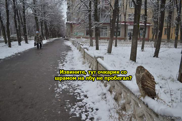 � ������� �����...