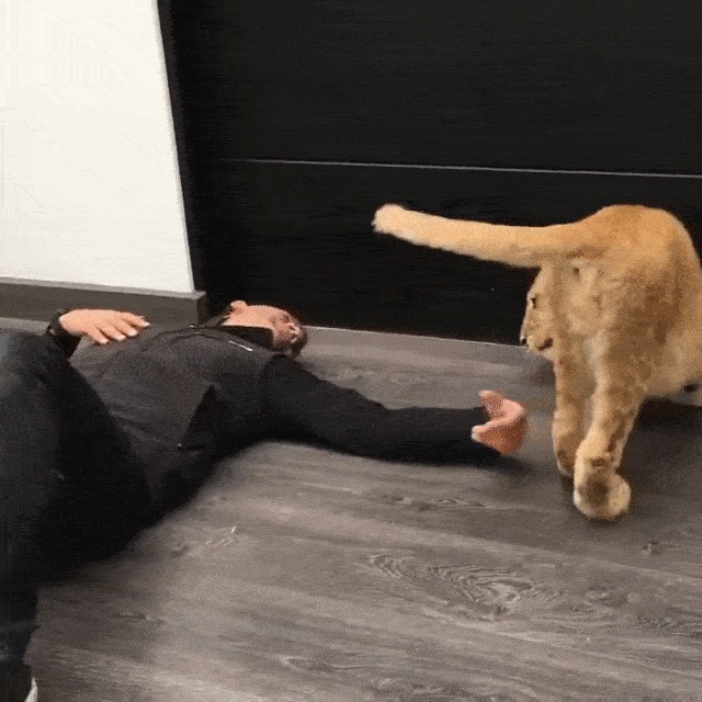 &quot; - , &quot; ..