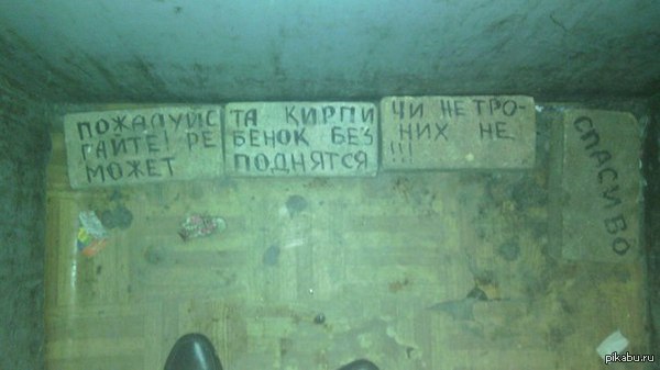 ������ ����