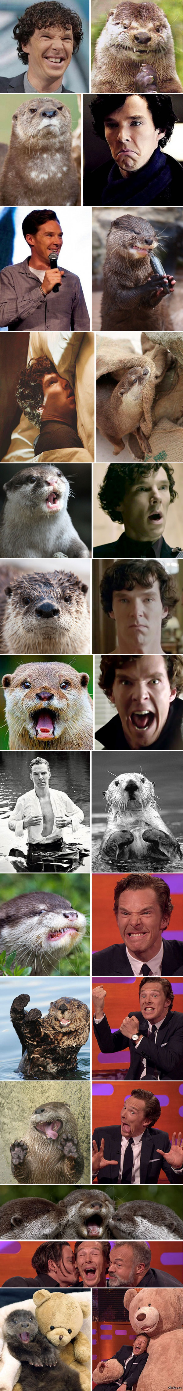 �������� ���������� �� ����� ���� �����.