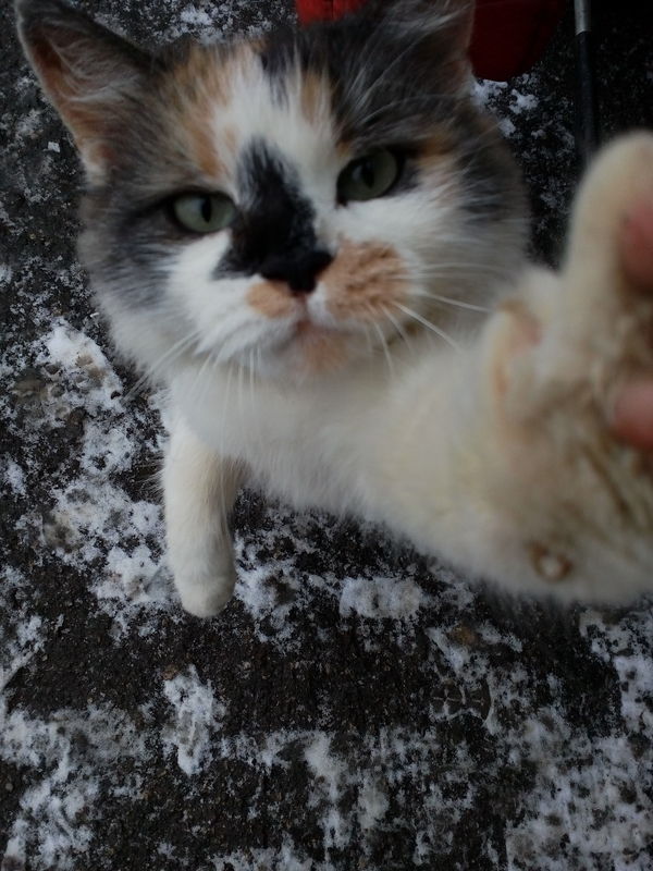 ������ ���������������� ���� � ��������, � ��� ������ �����