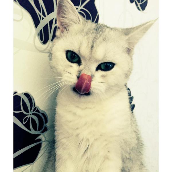     :P