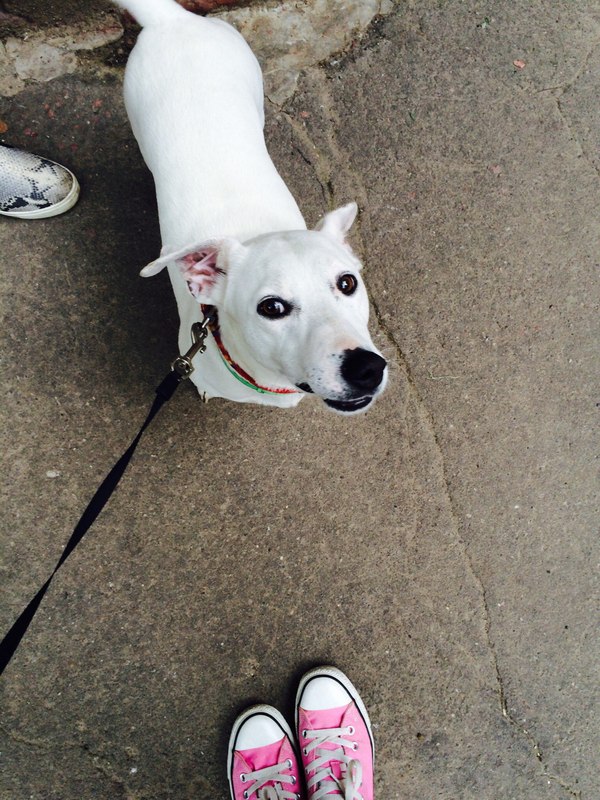 �������.