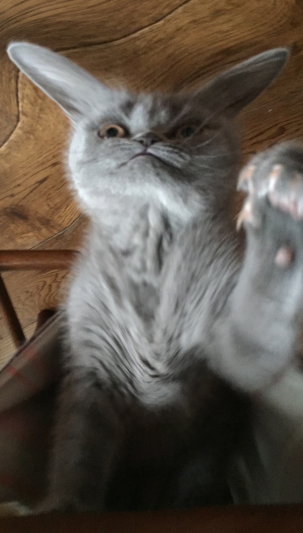 Записки тыжпоэта(1)