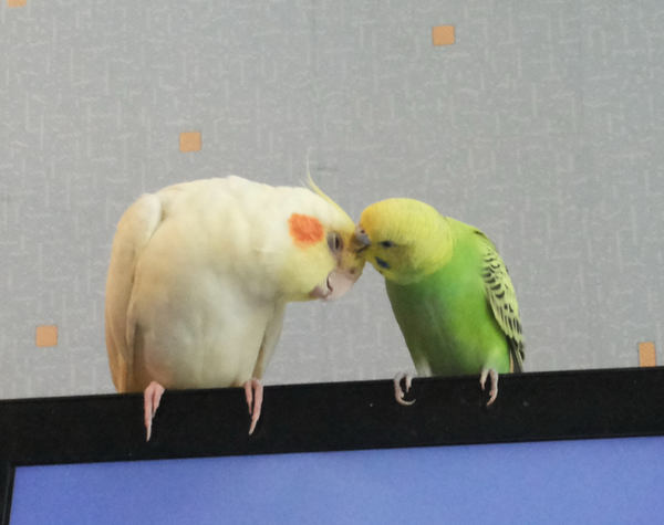 Интересные места Питера.