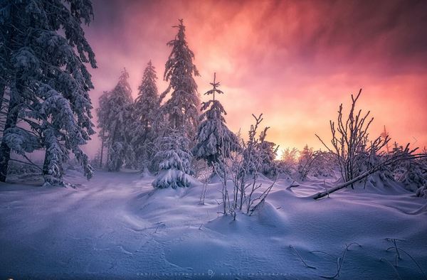 ������� ����������� ������� ��� � �����, � 1 ���� ����!