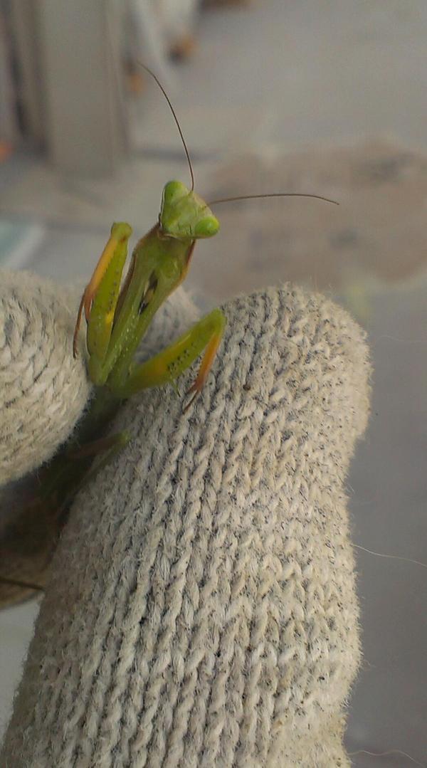 �,������!