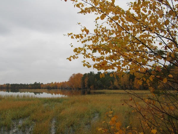 Двух недельный побег от семьи, на рыбалку в ХМАО. Рыбалка на севере, ХМАО, Парирода, Туризм, Поход, Длиннопост