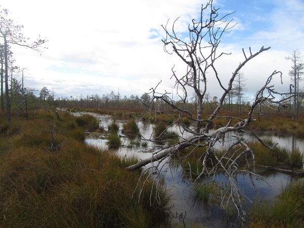 Двух недельный побег от семьи, на рыбалку в ХМАО. Рыбалка на севере, ХМАО, Парирода, Туризм, Поход, Длиннопост