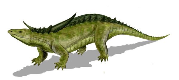   , Desmatosuchus, ,  