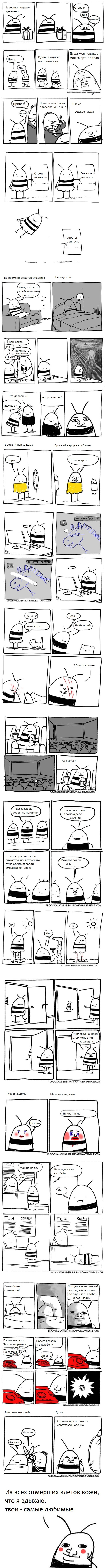 Жизненные ситуации от пчелки.