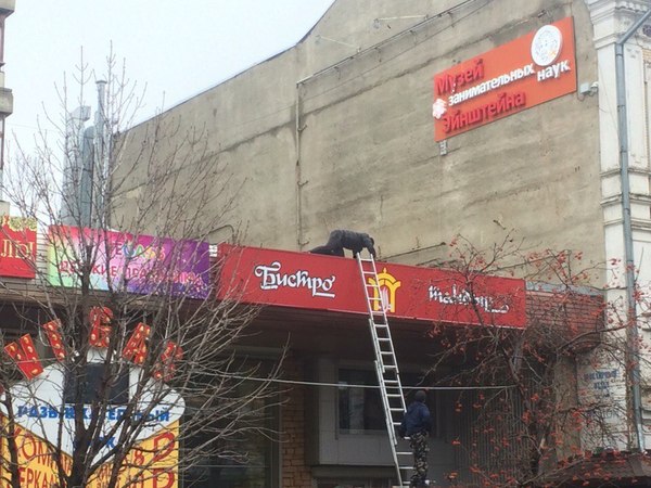 Был "турецкий", а теперь "бистро тандыр"