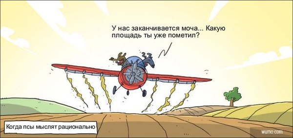 Когда псы мыслят рационально