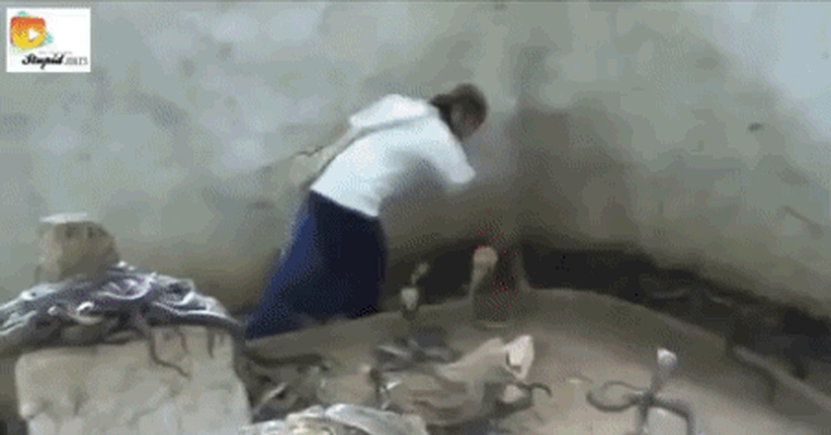 Кот. Агрессивная кошка. Не шипи что значит. Шутки про змею. Да не шипи ты.