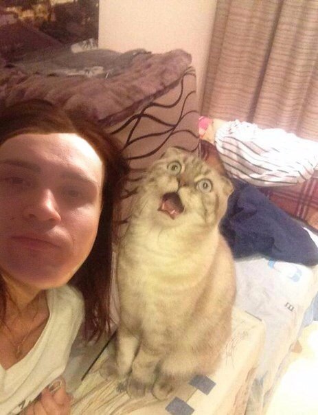 Не могу понять чье лицо/мордашка странней