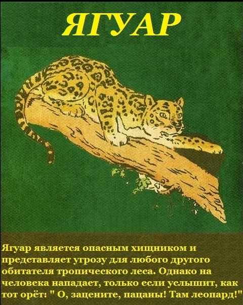 ������� � �������