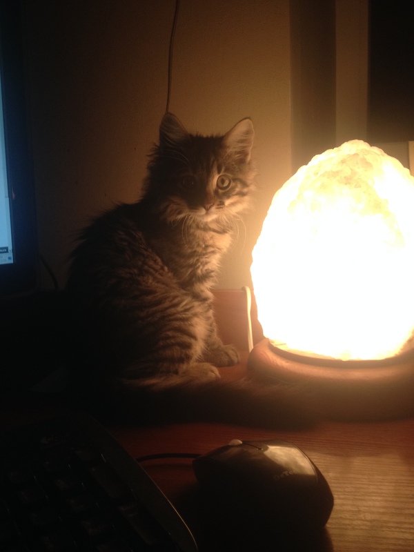 ������ ��� �������...