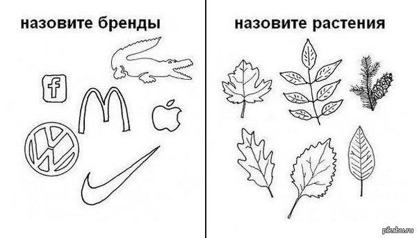 договор холодильник кока кола. договор холодильник кока кола фото. картинка договор холодильник кока кола. смотреть фото договор холодильник кока кола. смотреть картинку договор холодильник кока кола.