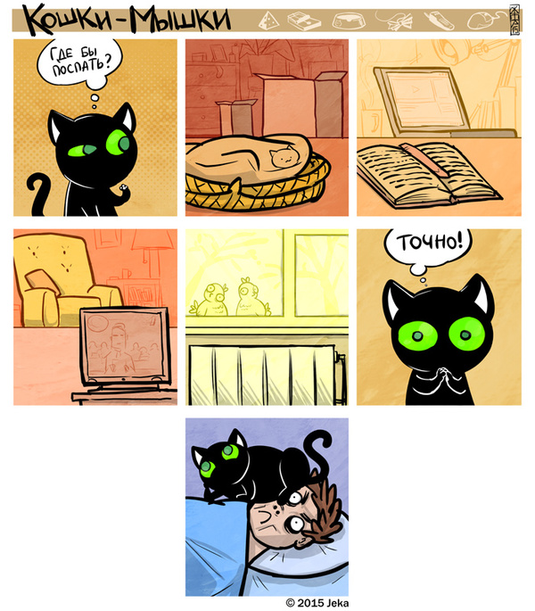 "Где бы поспать?"