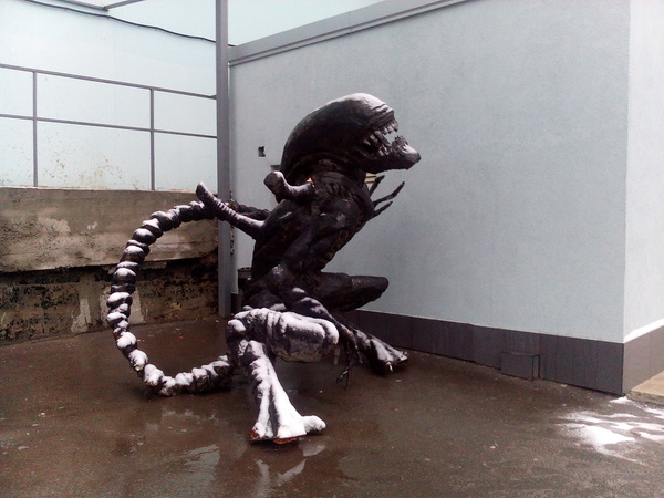 ����� �� ����� ����