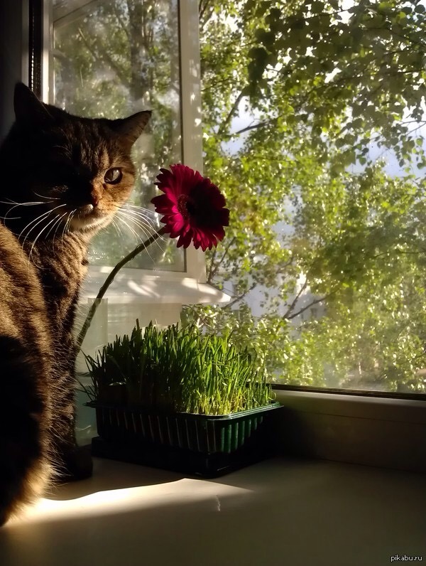 �������