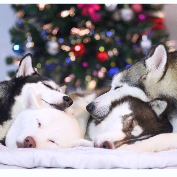 ���� ������� ������...