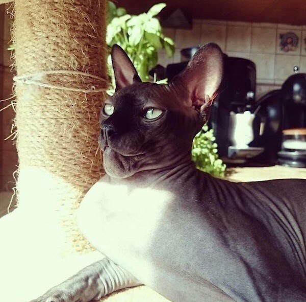 ��� � ����� ����� �� ��������� ������������