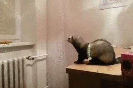  -  !