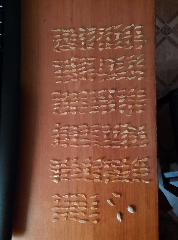 Состав мандариновой дольки