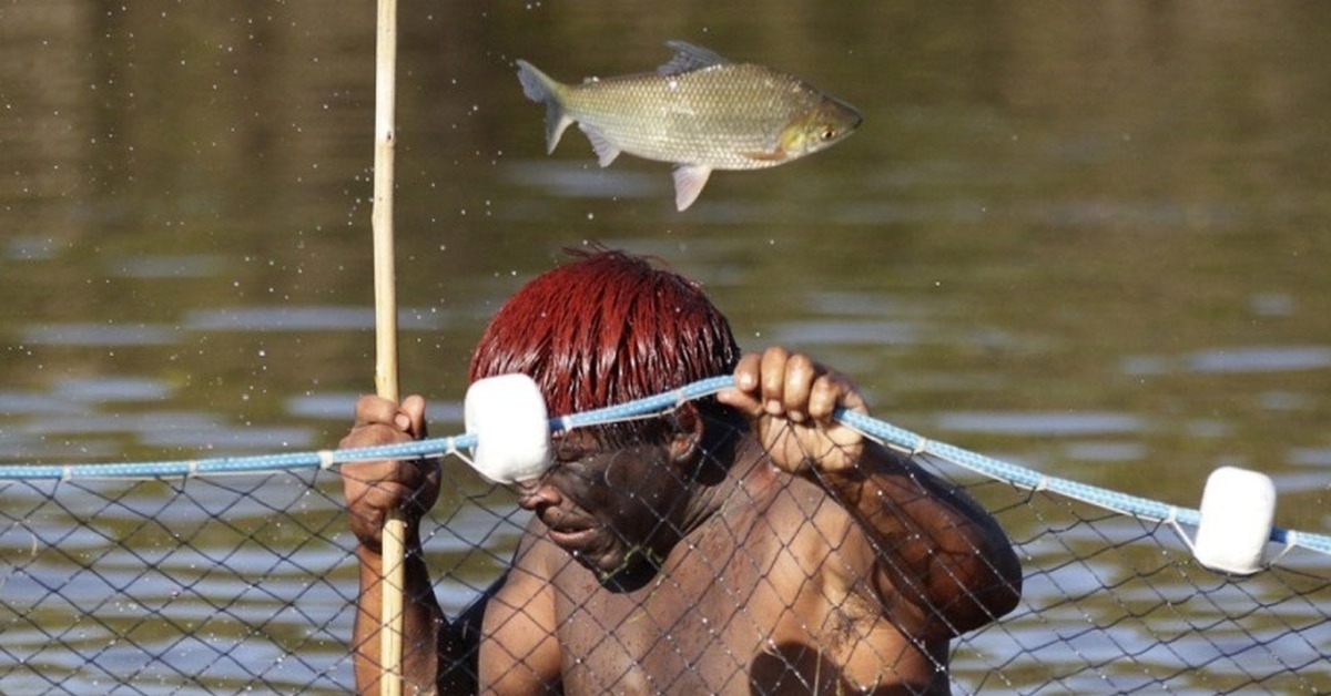 Рыболовством занимаются народы. ЮАР рыболовство. Индейцы ловят рыбу. Племя явалапити. Рыба копье.