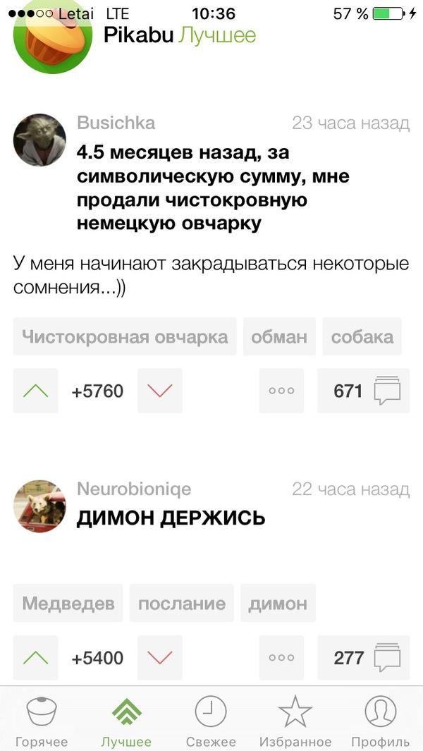 Pikabu ��������, � ��� ��������� ���������� ������ :(