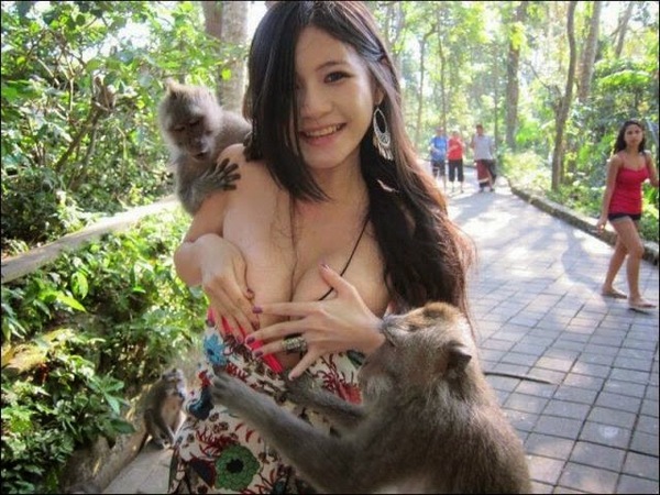 undress - Attack, Humor, The park, Monkey, NSFW