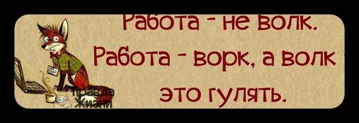 Картинка работа не волк в лес не убежит а жаль