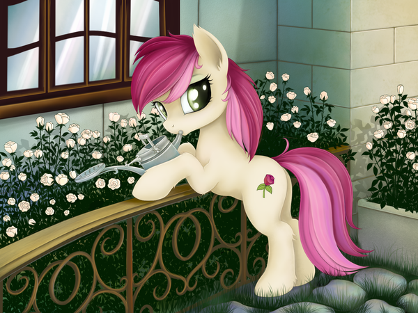 Roseluck   rainbow My Little Pony, Roseluck, 