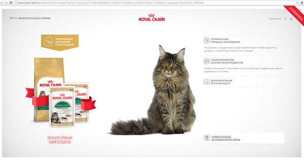 ������ ��� ����-�����