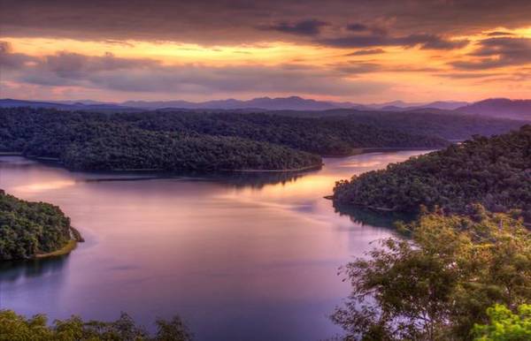 Самое простое решение по сокращению выбросов углерода