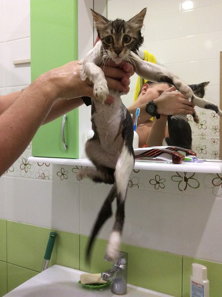 �������. ����������.