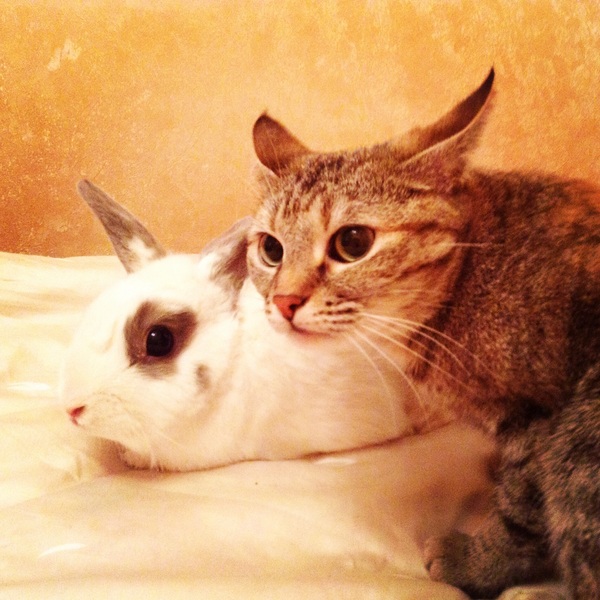 ��� ��������� �������!!!