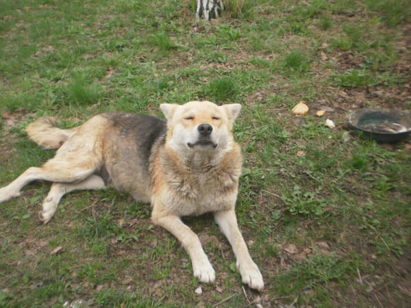 ������ ��� ������