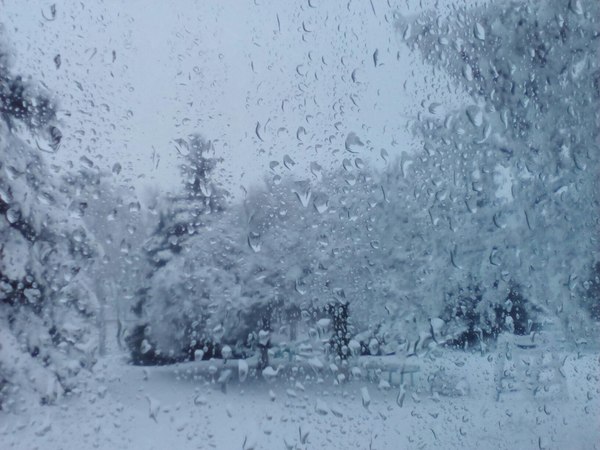 ������ ������.