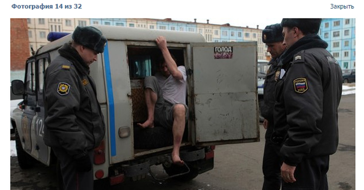 Тапки | Пикабу