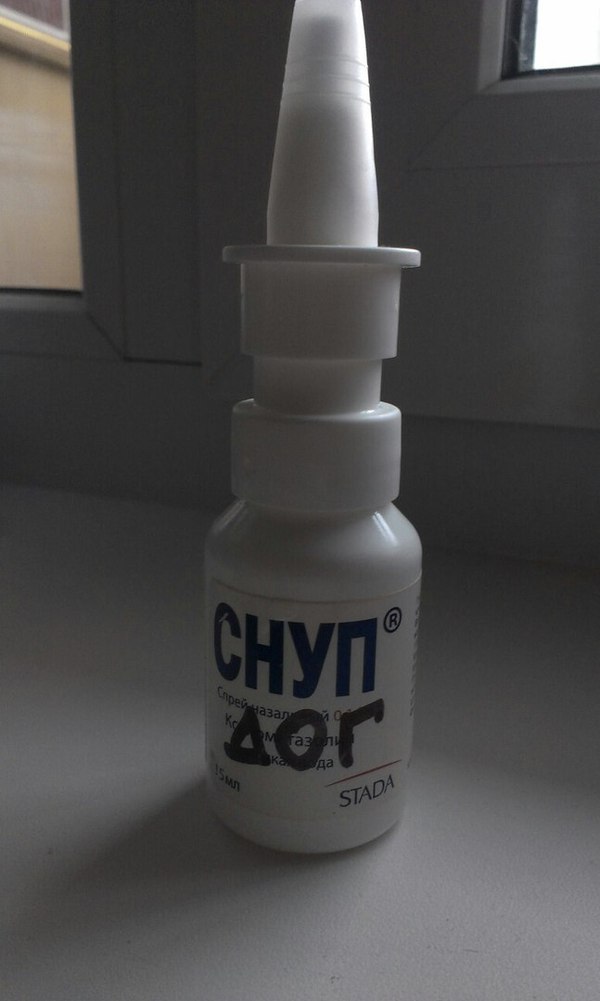 Заходил ко мне Снуп Дог попетросянили немног