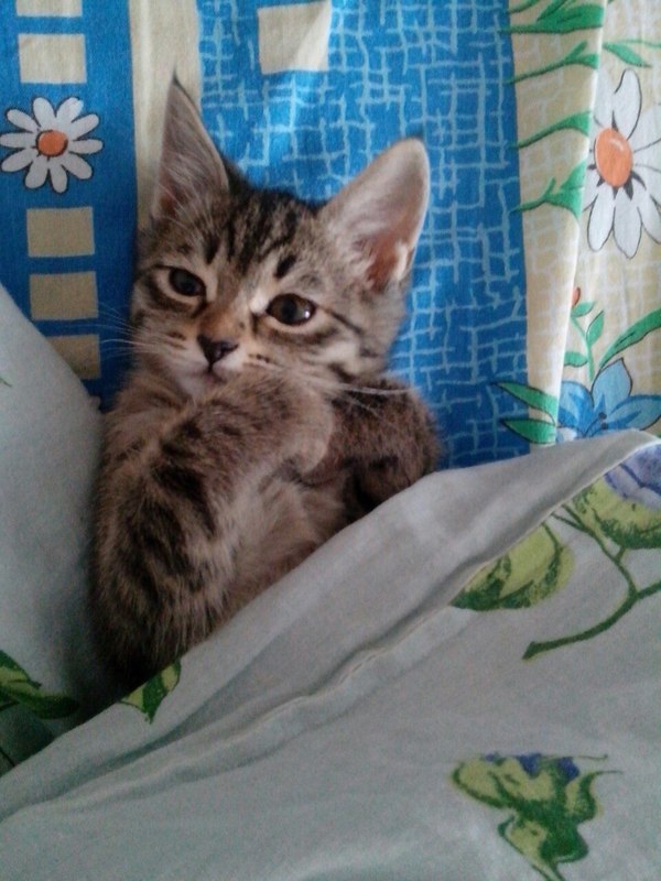 Сегодня правда суббота?