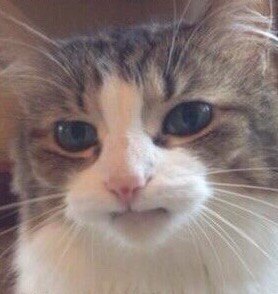 �� �����������