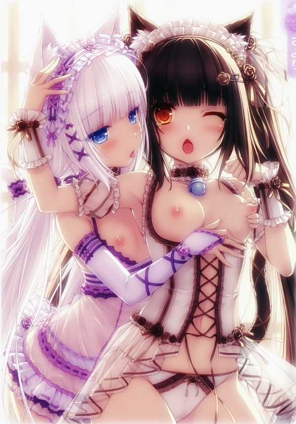 Art Neko - Art, Anime, Nekopara, NSFW