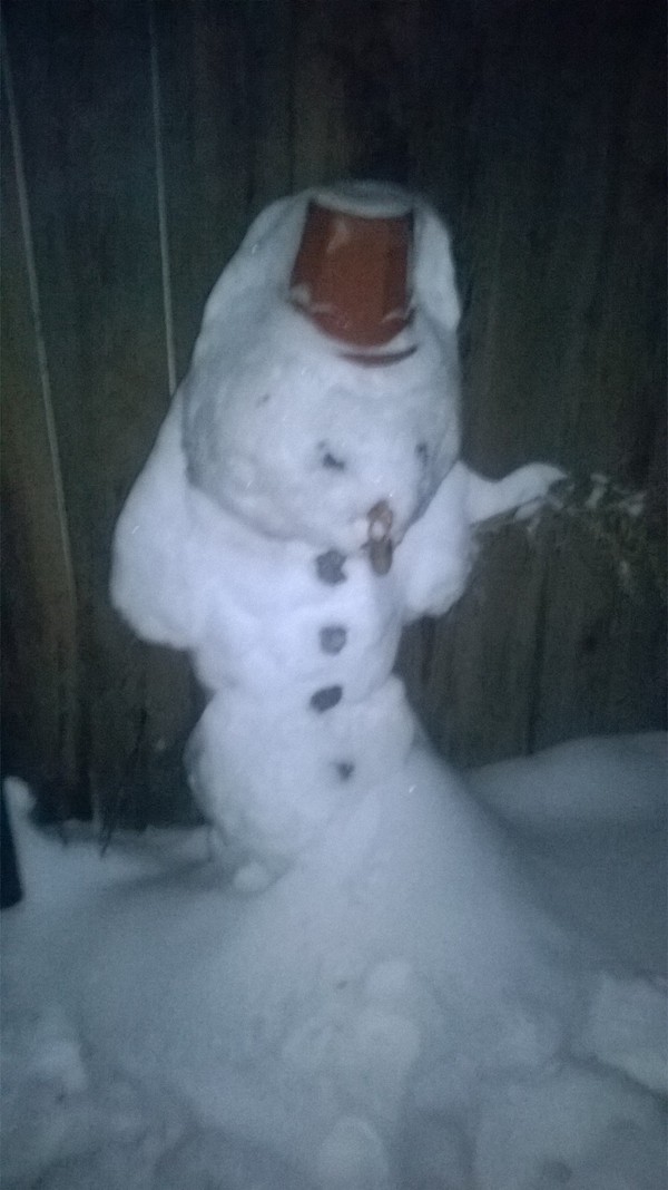 ���������� ��������